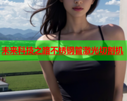 未来科技之路不锈钢管激光切割机(图2)