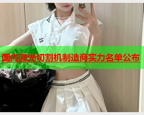 国内激光切割机制造商实力名单公布(图1)