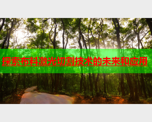 探索布料激光切割技术的未来和应用(图1)