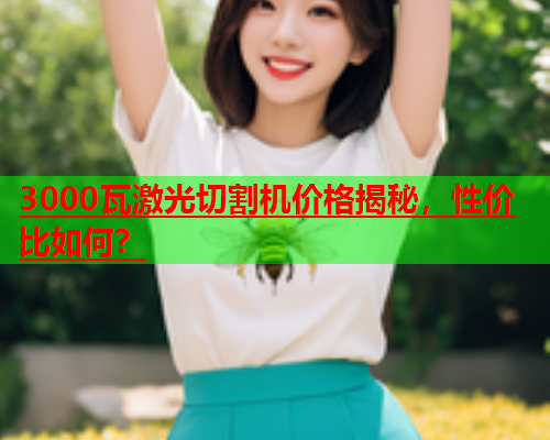 3000瓦激光切割机价格揭秘，性价比如何？(图1)