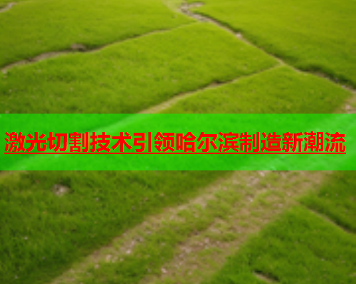 激光切割技术引领哈尔滨制造新潮流(图1)
