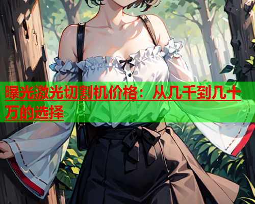 曝光激光切割机价格：从几千到几十万的选择(图2)