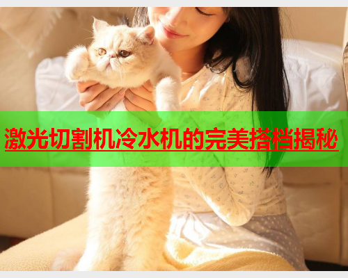 激光切割机冷水机的完美搭档揭秘(图1)