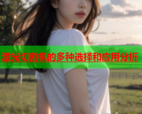 激光切割机的多种选择和应用分析(图2)
