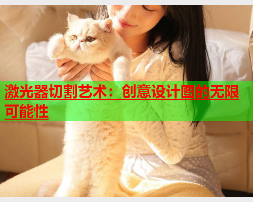 激光器切割艺术：创意设计图的无限可能性(图1)